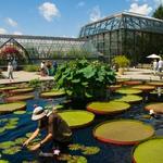 Longwood Gardens