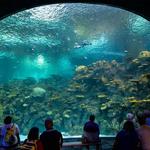 Seattle Aquarium