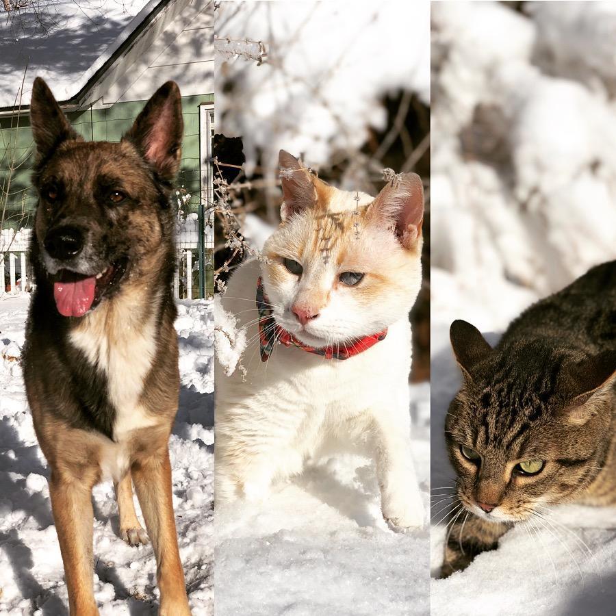 Everyone loves it here but Steve :P