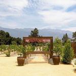 Topa Mountain Winery