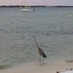 Gulf Islands National Seashore
