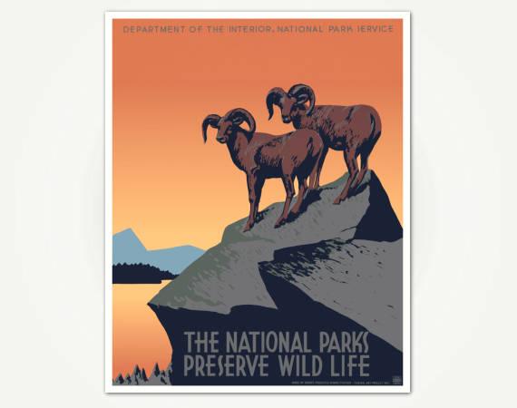 The National Parks Preserve Wild Life Poster Print - Vintage National Parks Poster Art