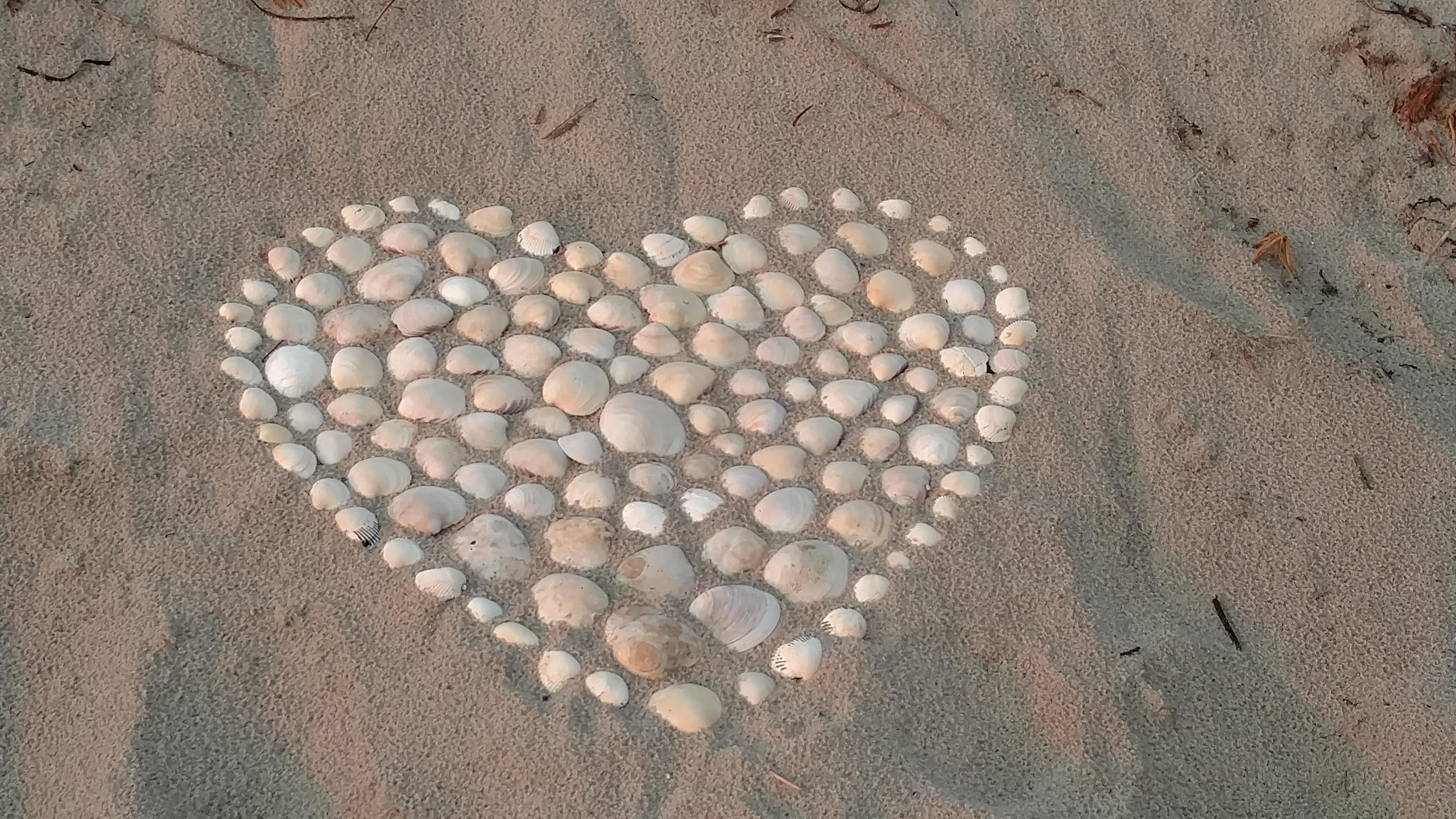 The Wedding Website of Andy Harrington and Rachel Gronvold