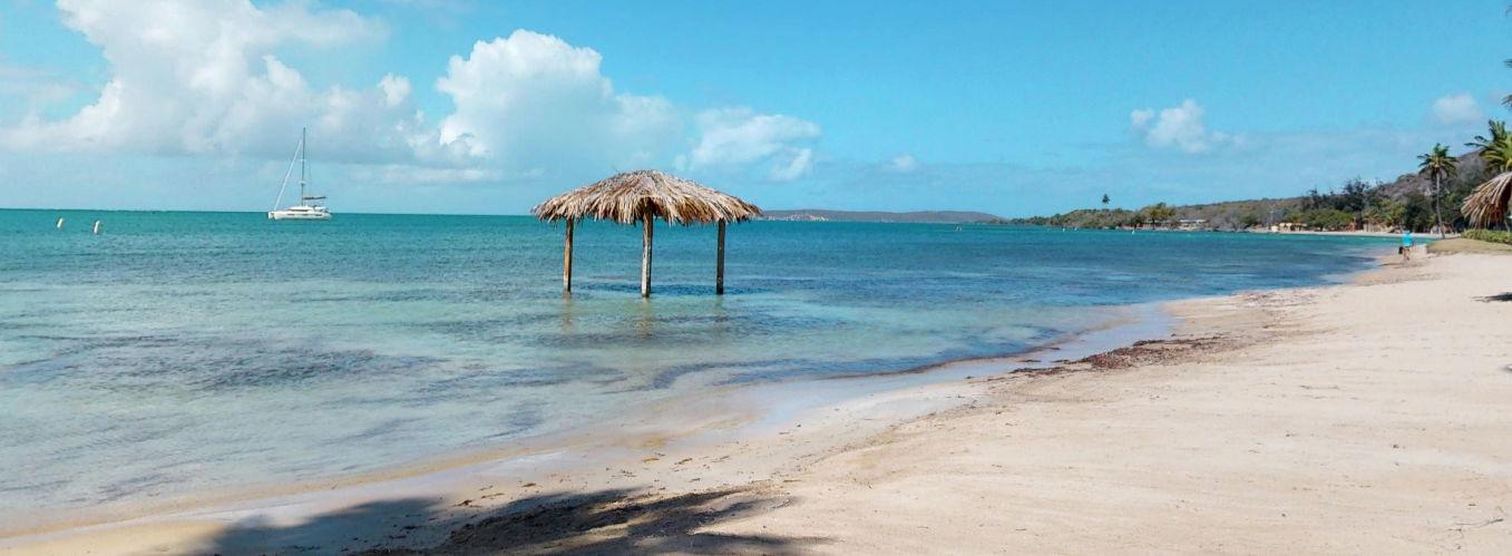 The Wedding Website of Alexis Carozza and Salvatore Villano