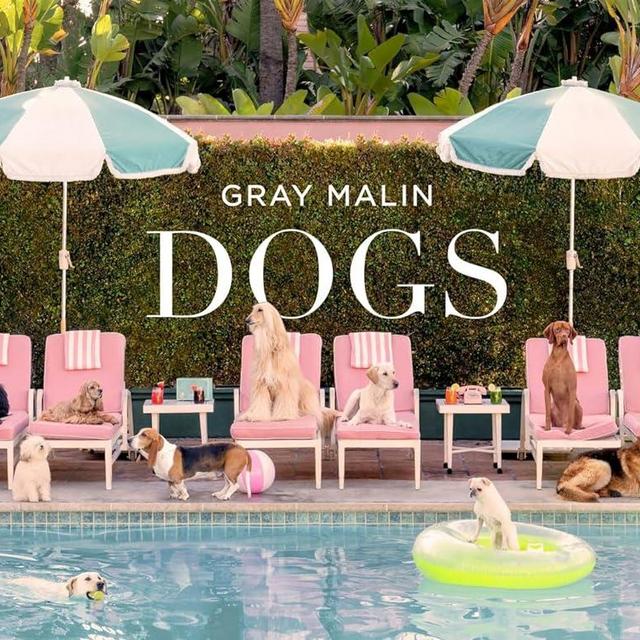 Gray Malin: Dogs