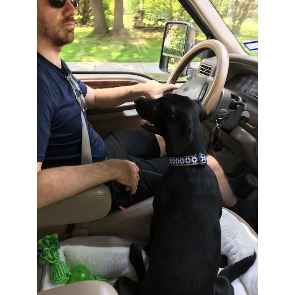 Lacy loves her Daddy!