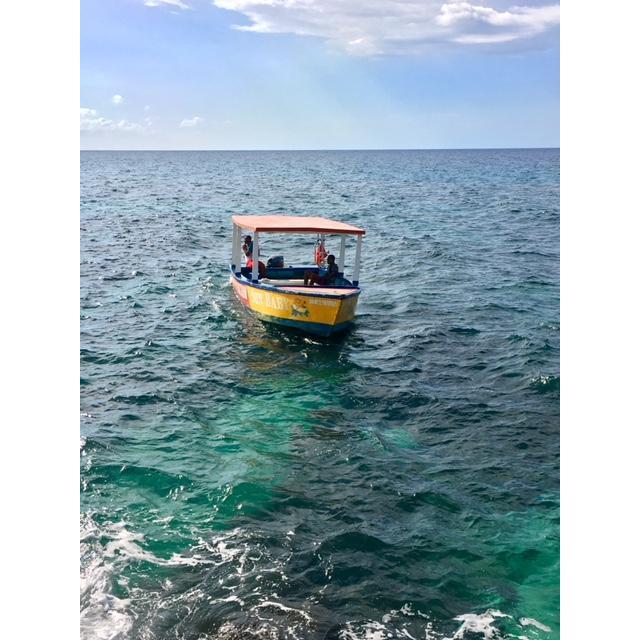 Negril: We took this boat with Dave's family on our last trip.