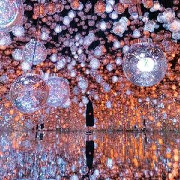 Visit Team Lab Tokyo