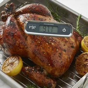 Williams Sonoma Digital Instant Read Pen Thermometer