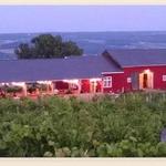 Abandon Brewing Company