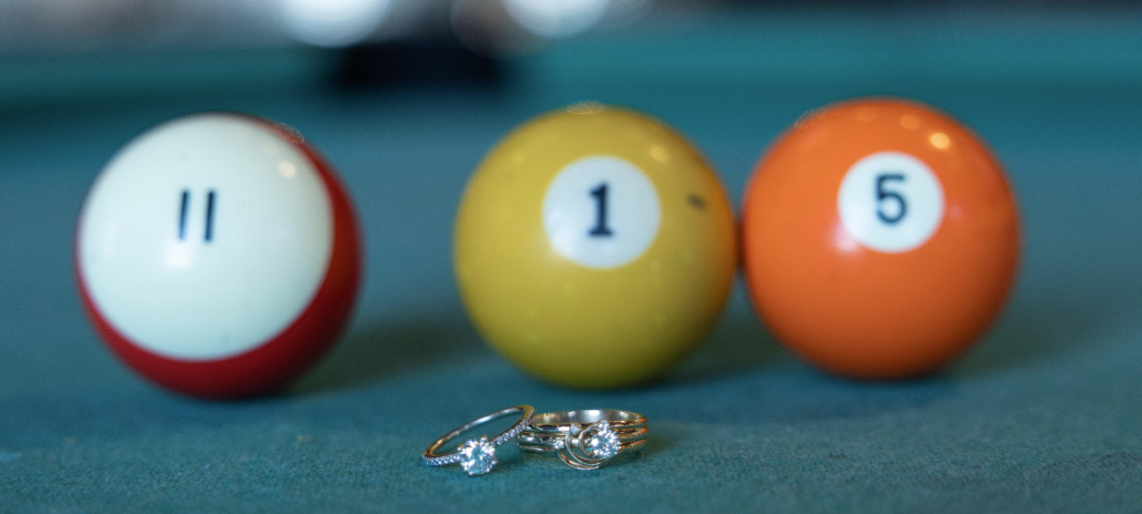 The Wedding Website of Michelle LoMonaco and Allison Moeser