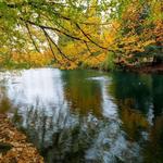 Laurelhurst Park