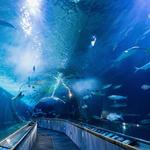 Seattle Aquarium