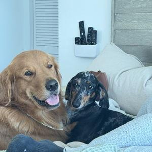 Our Home Fund