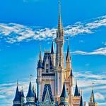 walt disney world