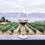 Carmel Wineries