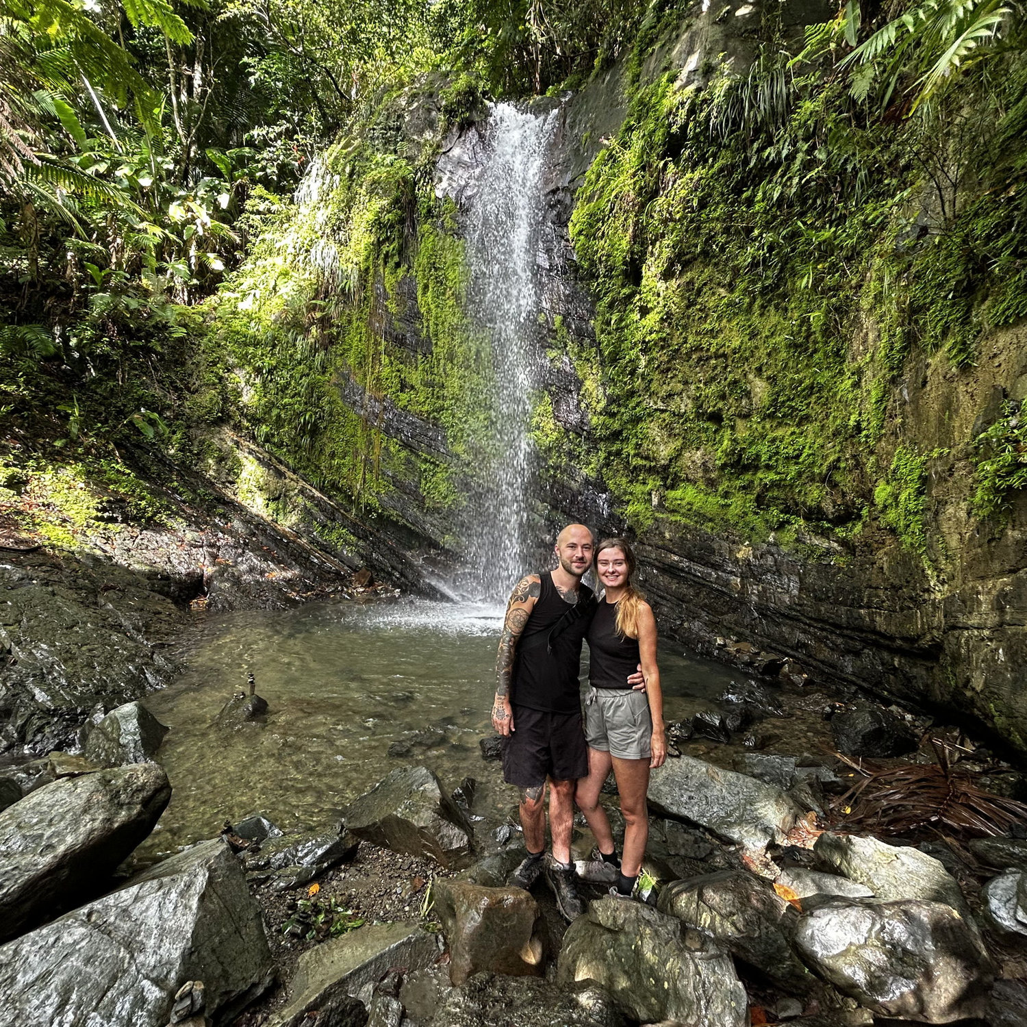 2024 - El Yunque National Forest, Puerto Rico