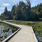 Lake Fenwick Park