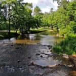 Luray Hawksbill Greenway