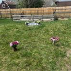 The proposal set up