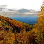 Aspen Vista Picnic Ground