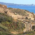 Torrey Pines State Natural Reserve