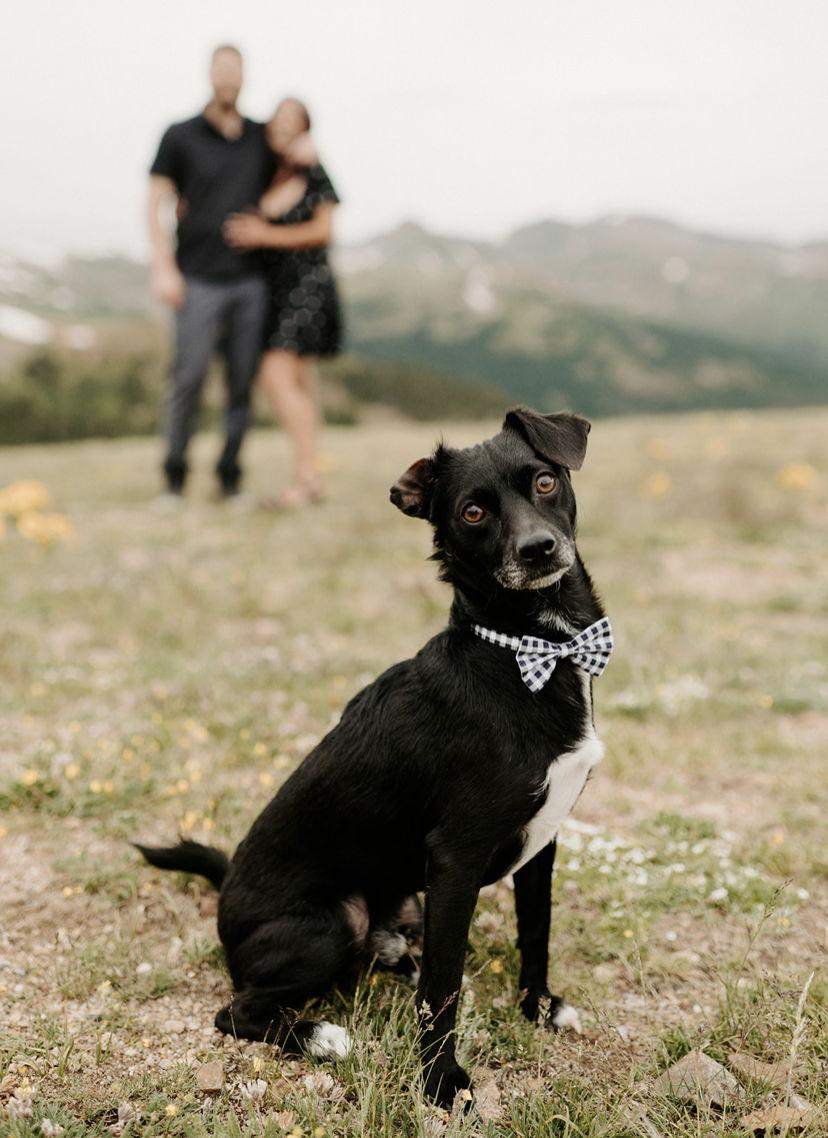 The Wedding Website of Itzel Martinez and Victor Stauss