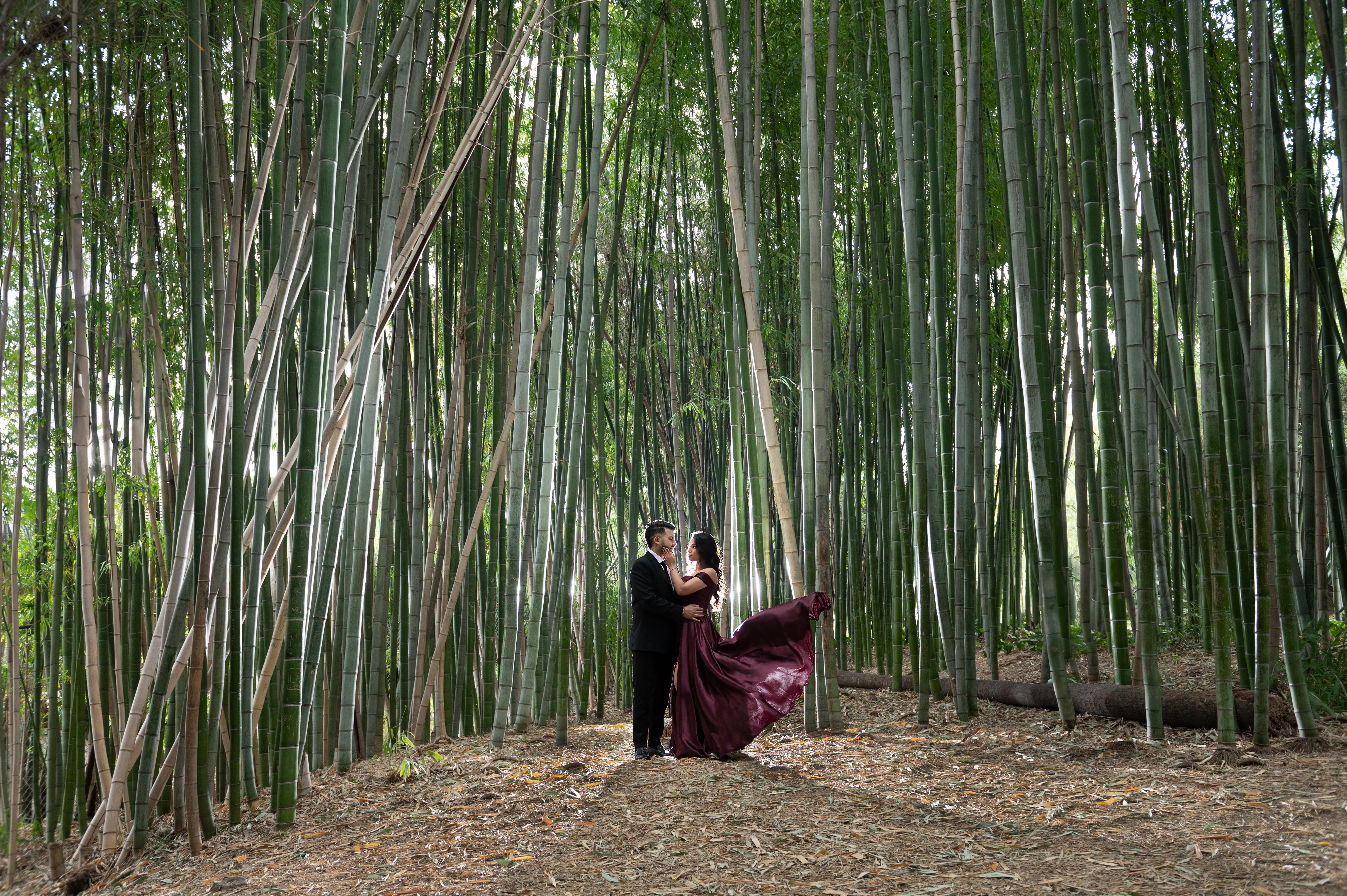 The Wedding Website of Sruthi Nair and Krishna Gadani