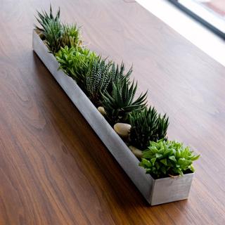 Planter Trough