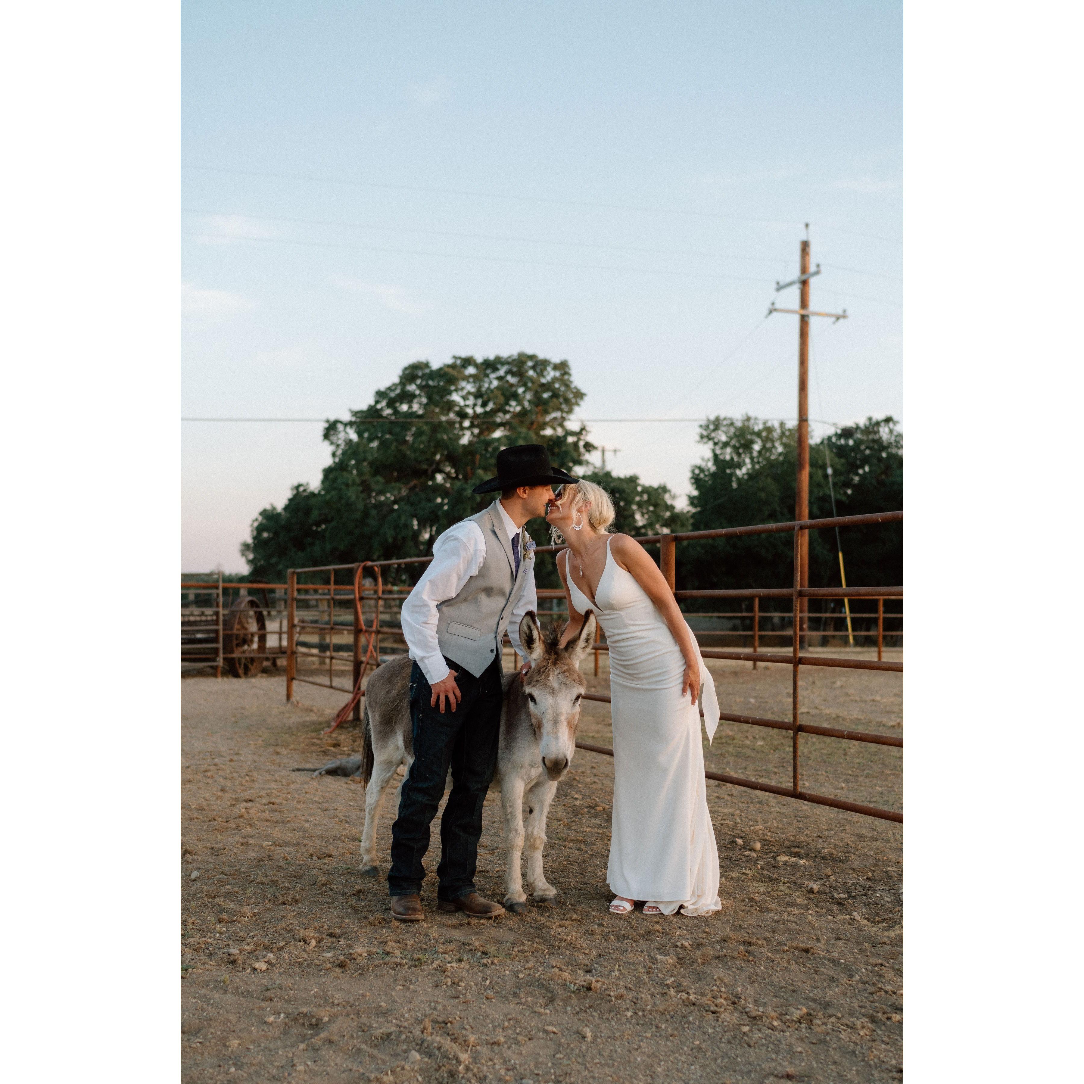 This is Benny the Burro. He was Cole's first pet. He is over 24 years old.