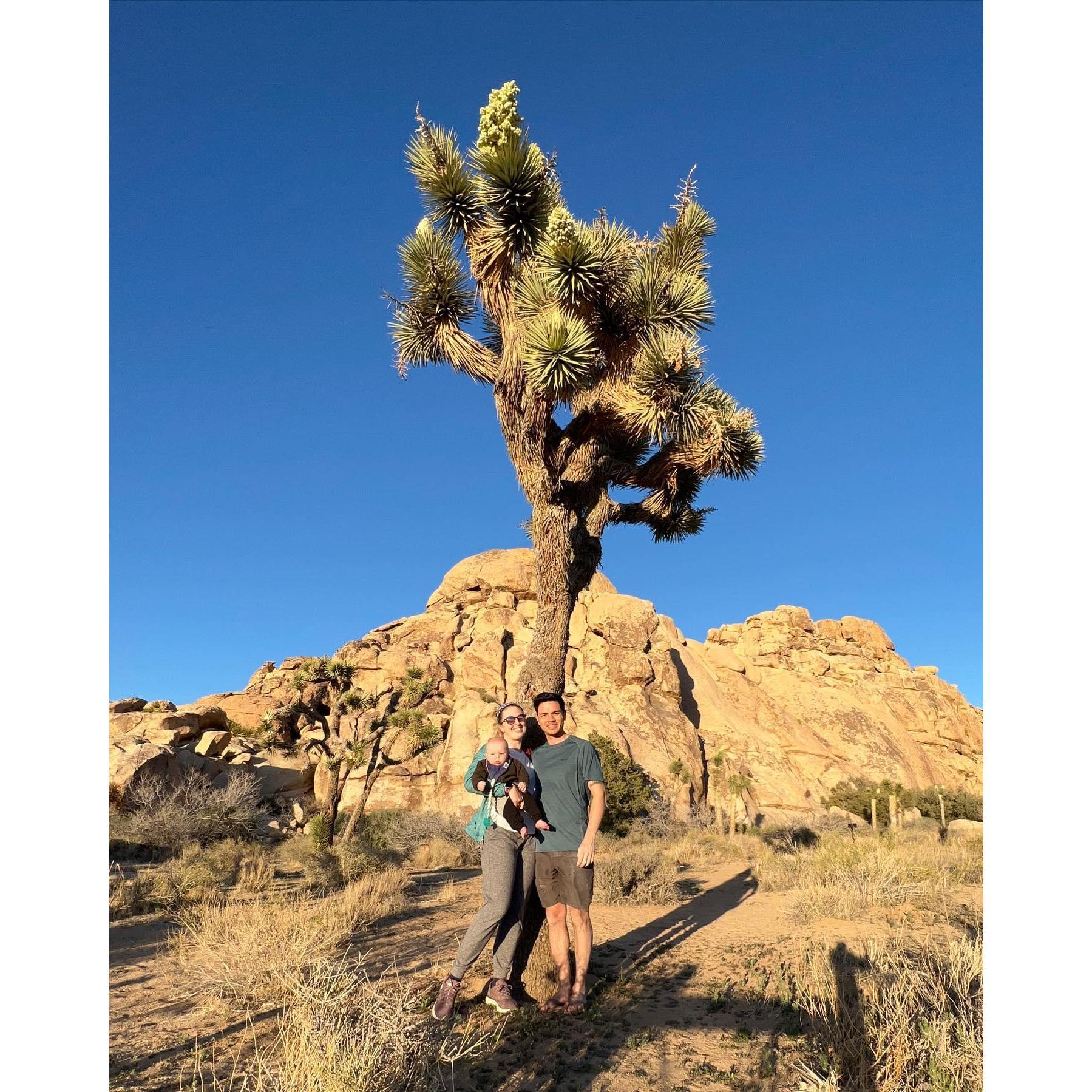 Julian's first trip to Joshua Tree, one of Jason's favorite rockclimbing spots.