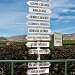 Wine Tasting