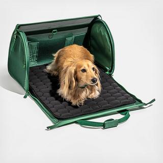 Pet Travel Carrier