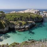 Point Lobos State Natural Reserve