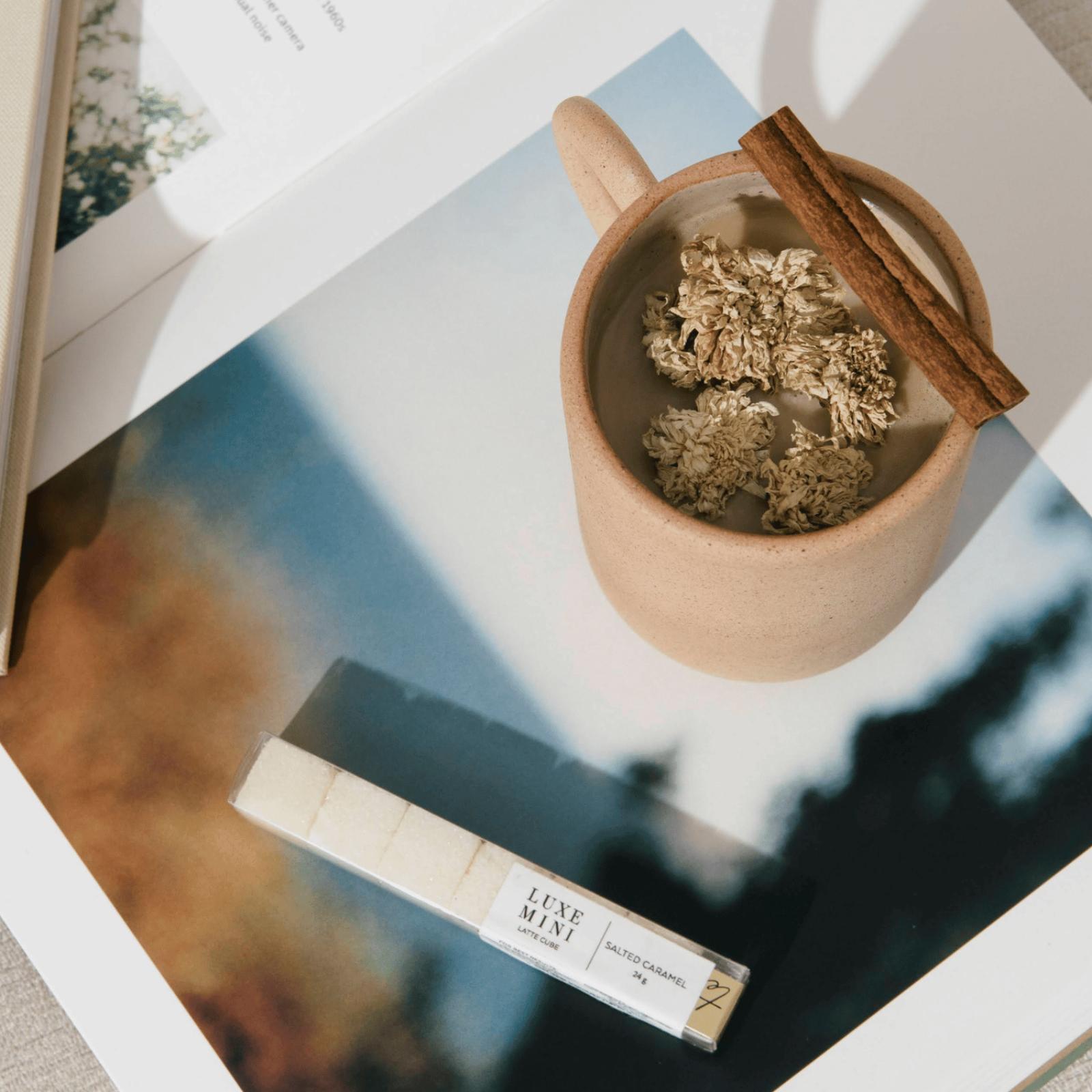 Teaspressa, Salted Caramel Mini Mixology Cube, Set of 4 Zola