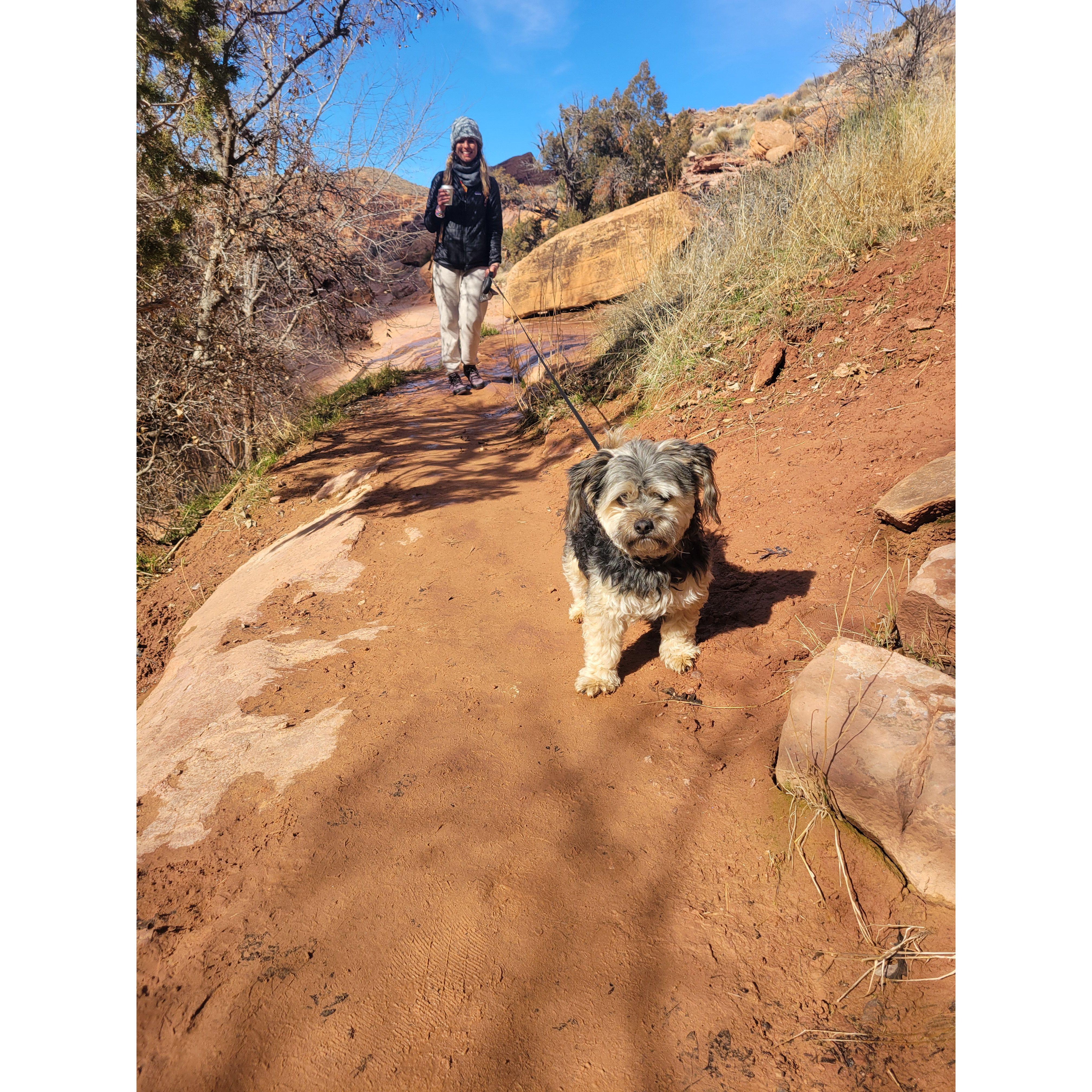 Bandit's first hike!
