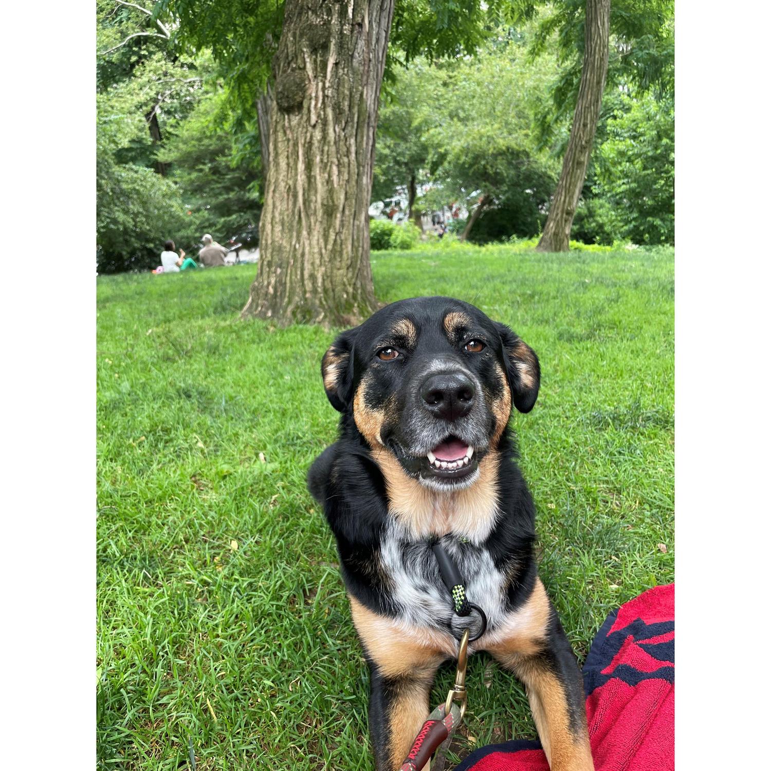 Our favorite girl in the world who will be missed at our big day! She'll be celebrating at home in Seattle for us.