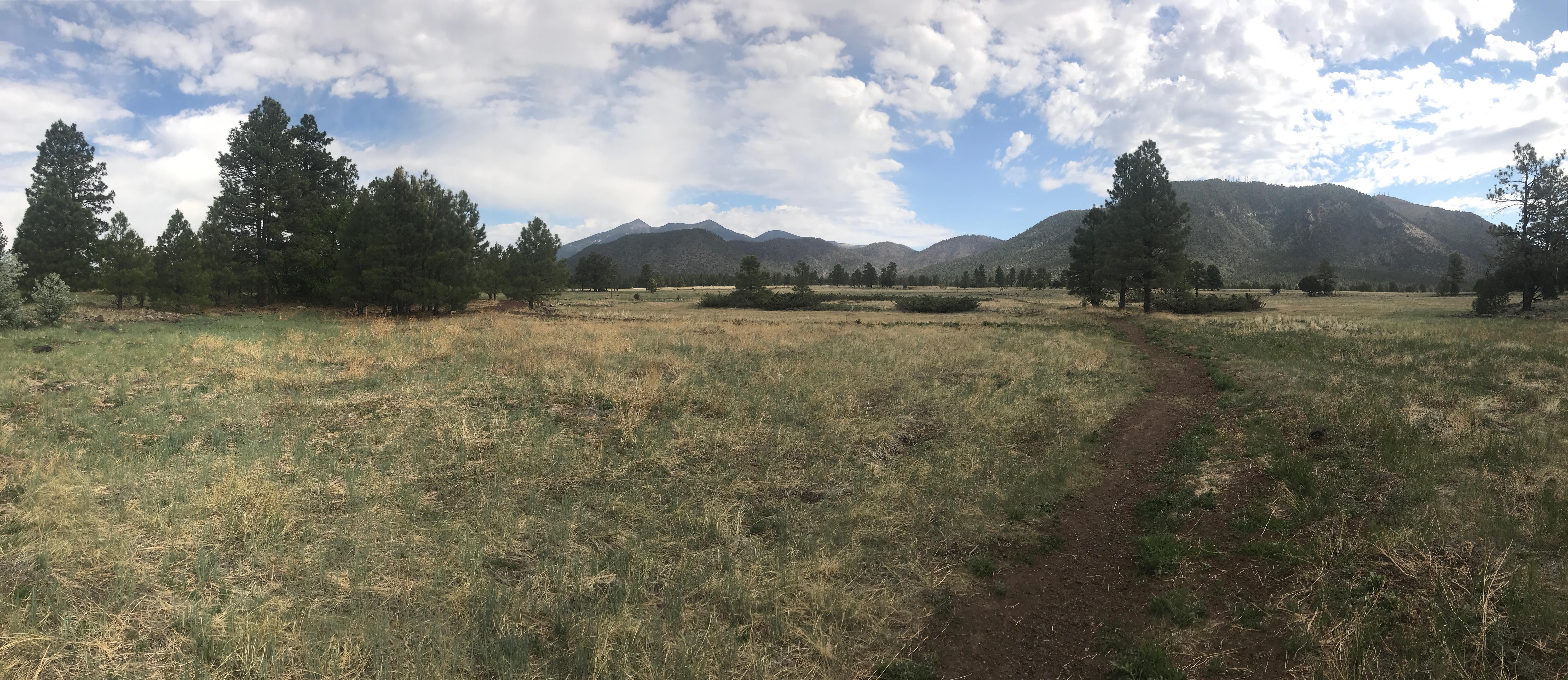 The Wedding Website of Macklin McBride and Sara Cork