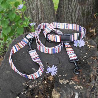 Classic Adventure Dog Collar