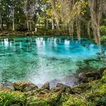 Three Sisters Springs