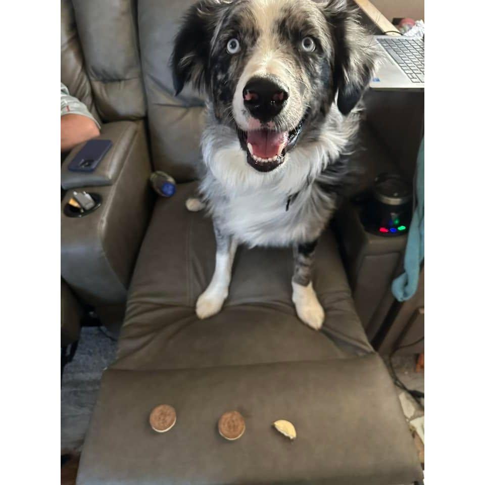 Selling Papa's Soul for 2 1/2 Oreos!
