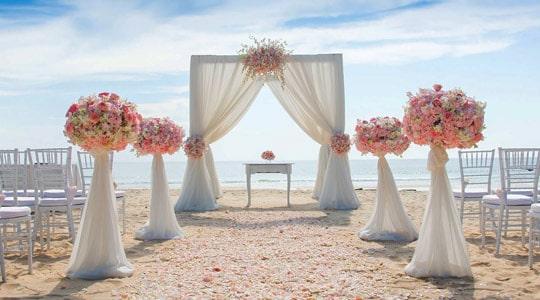 The Wedding Website of Bihani Tamang and Dan Smith