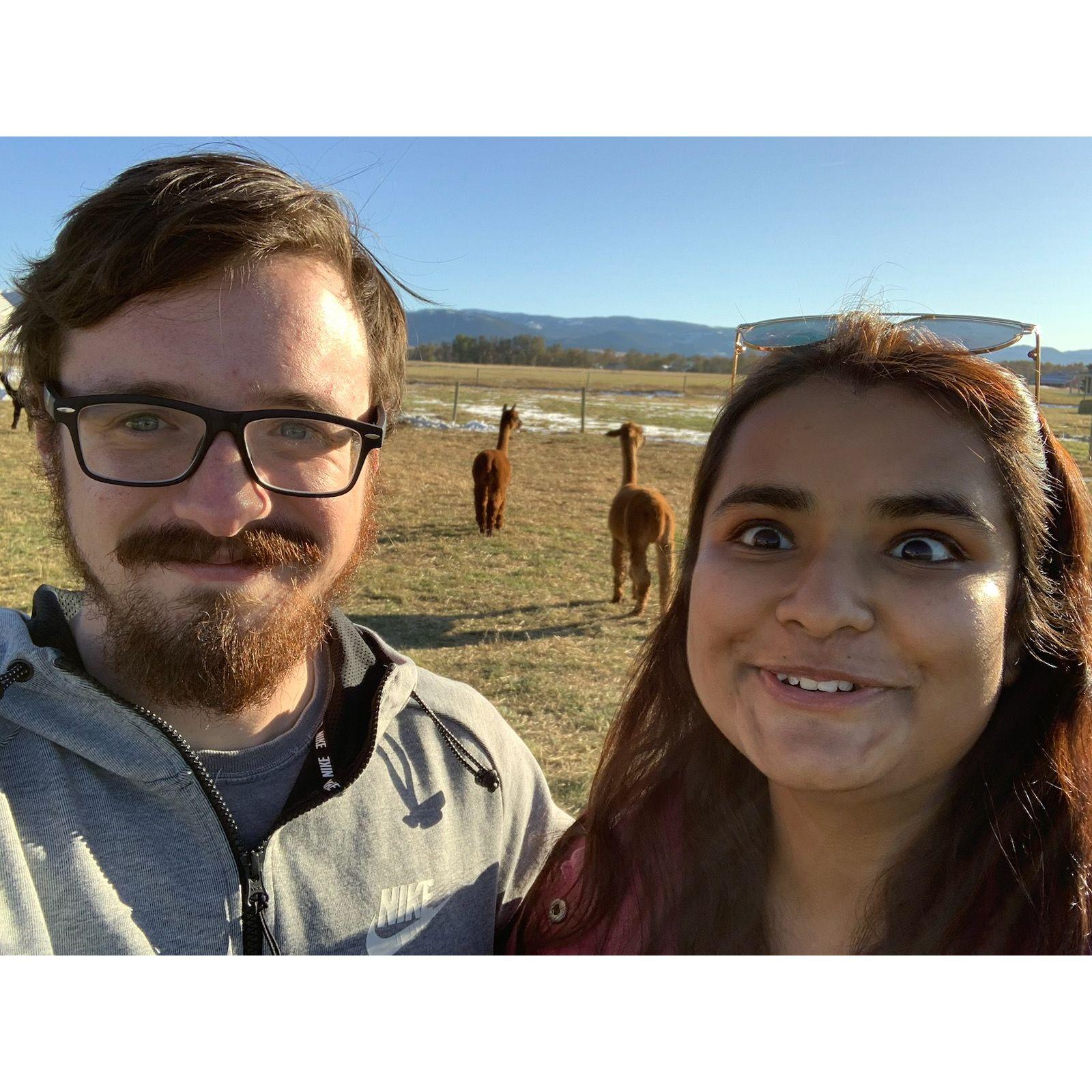 One of our first dates, An alpaca farm, Summer 2019