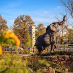 Saint Louis Zoo