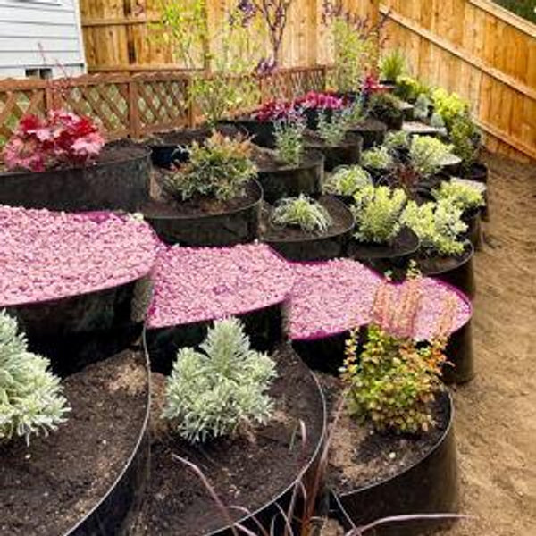 Backyard Fund (Contribute $100)