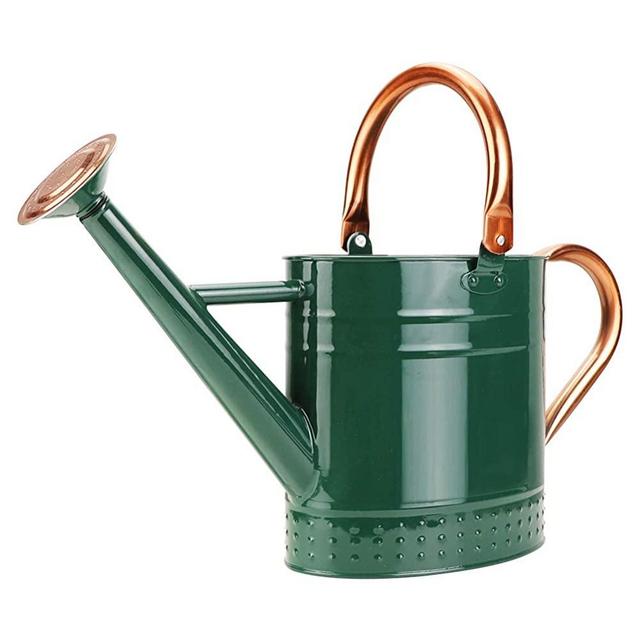 Megawodar 1 Gallon Galvanized Steel Watering Can with Embossed Design (Green)