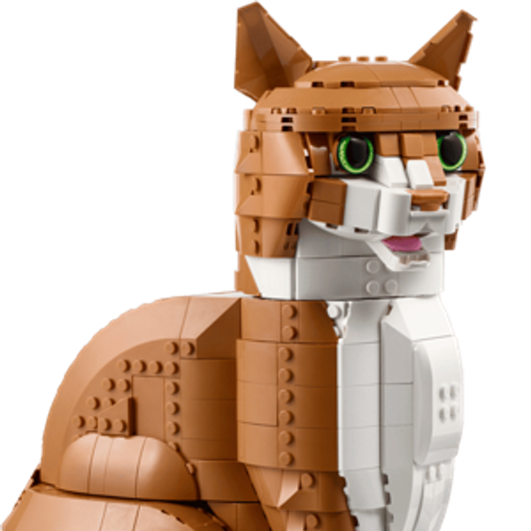 Orange Cat 21376 | Ideas | Buy online at the Official LEGO® Shop US