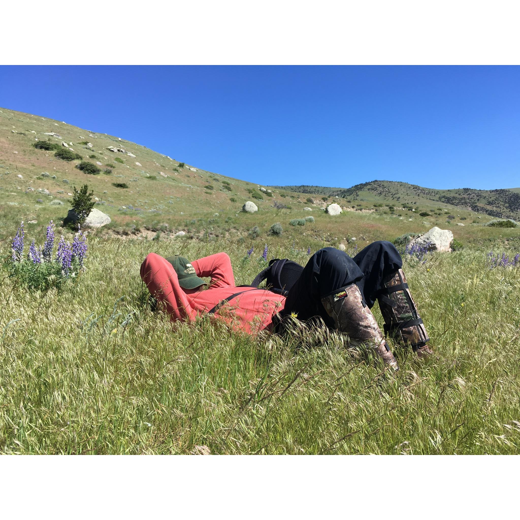 June 2018- waiting on me to finish up some veg surveys at a Montana Ranch outside of Big Timber