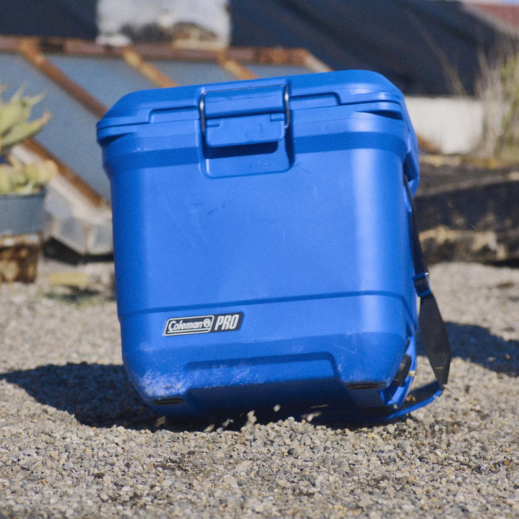 Coleman, Pro 25-Quart Hard Cooler | Zola