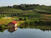 Mercier Orchards